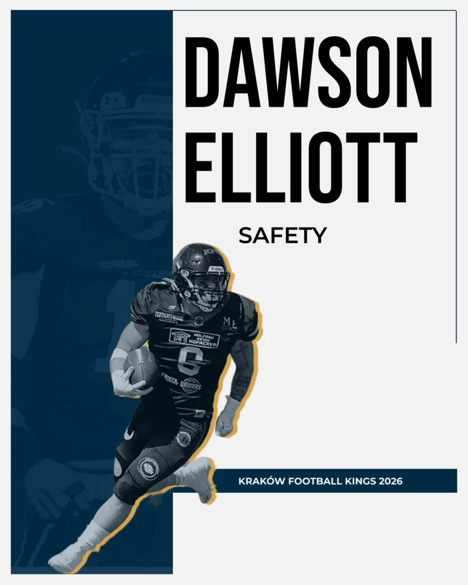 New Safety of the Kraków Kings